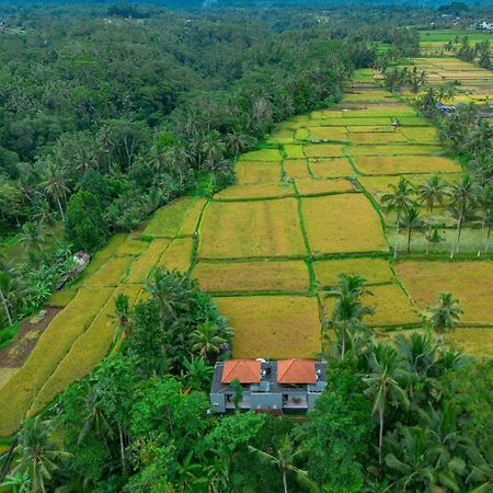 The Alus Cottage And Villa Ubud Buitenkant foto