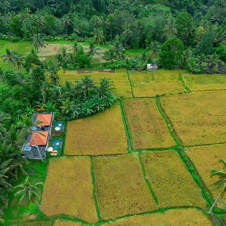 The Alus Cottage And Villa Ubud Buitenkant foto