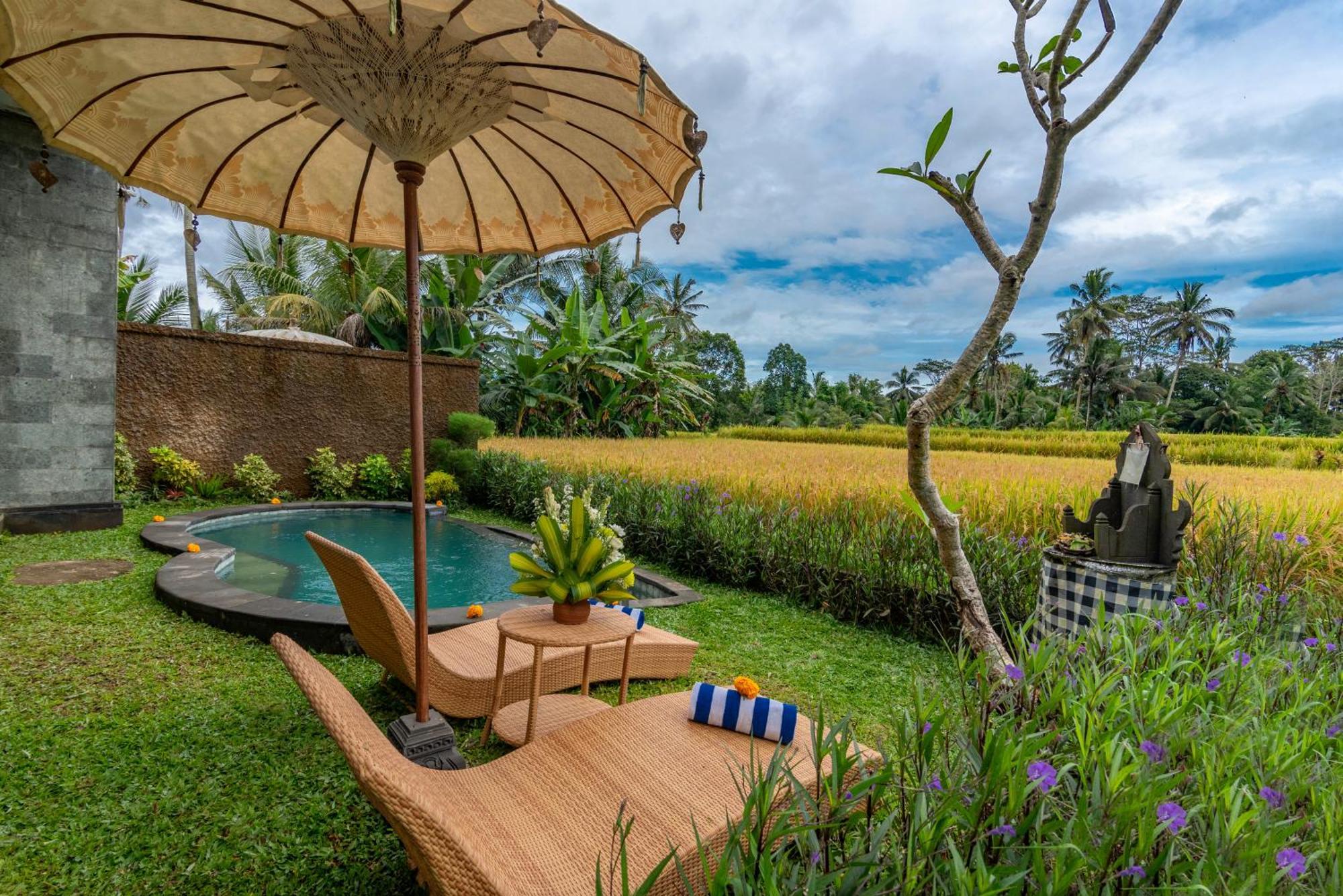 The Alus Cottage And Villa Ubud Buitenkant foto