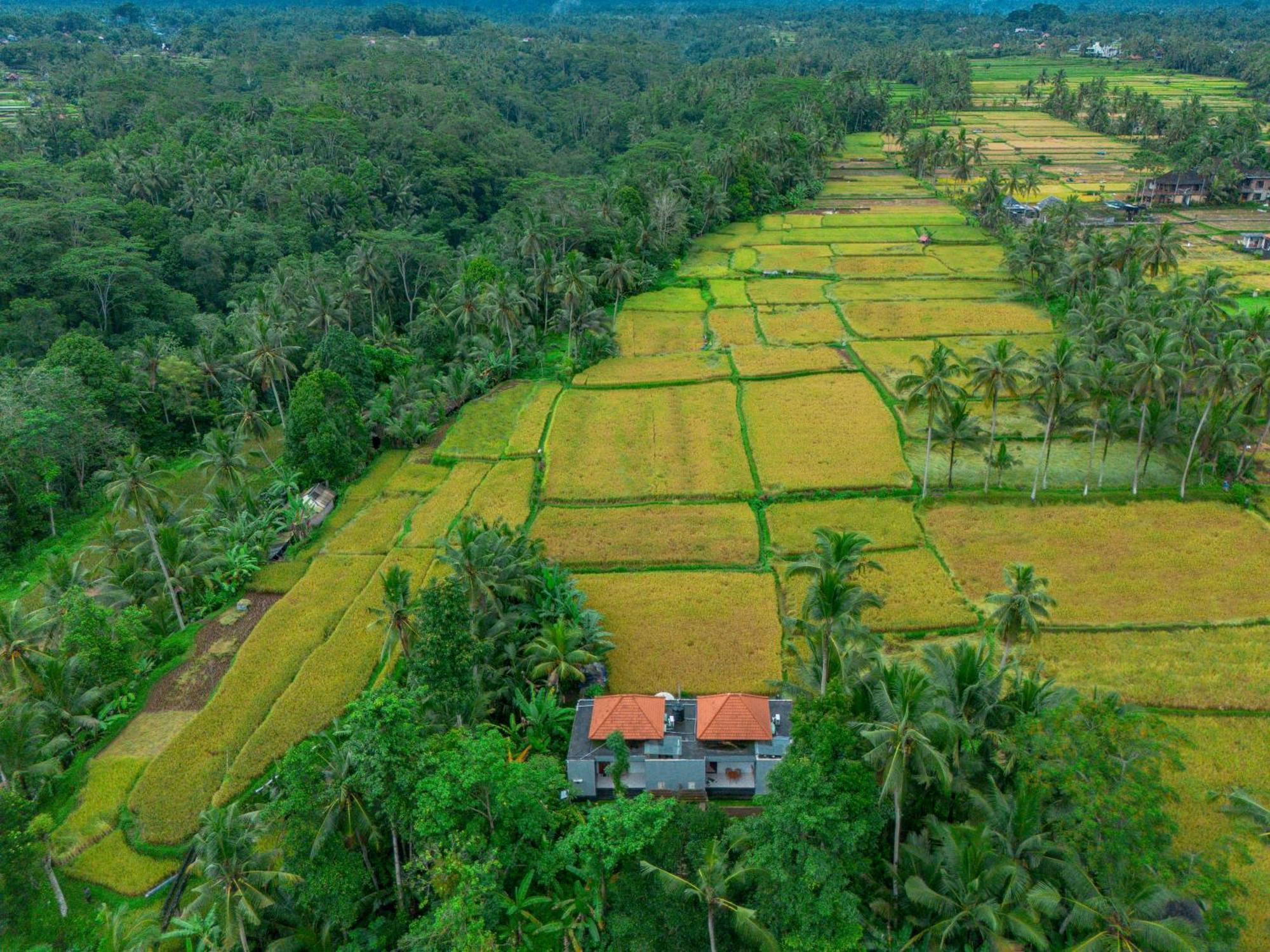 The Alus Cottage And Villa Ubud Buitenkant foto