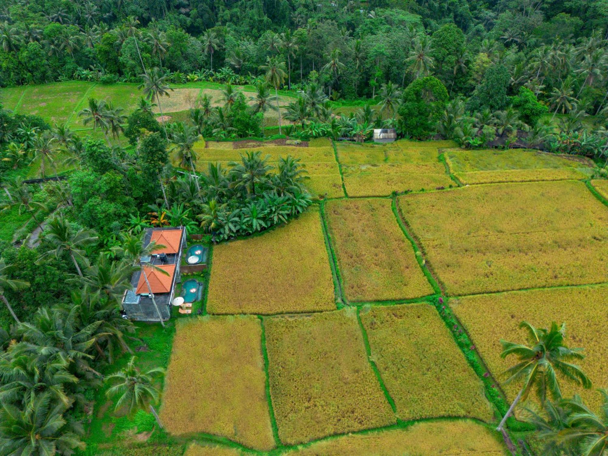 The Alus Cottage And Villa Ubud Buitenkant foto