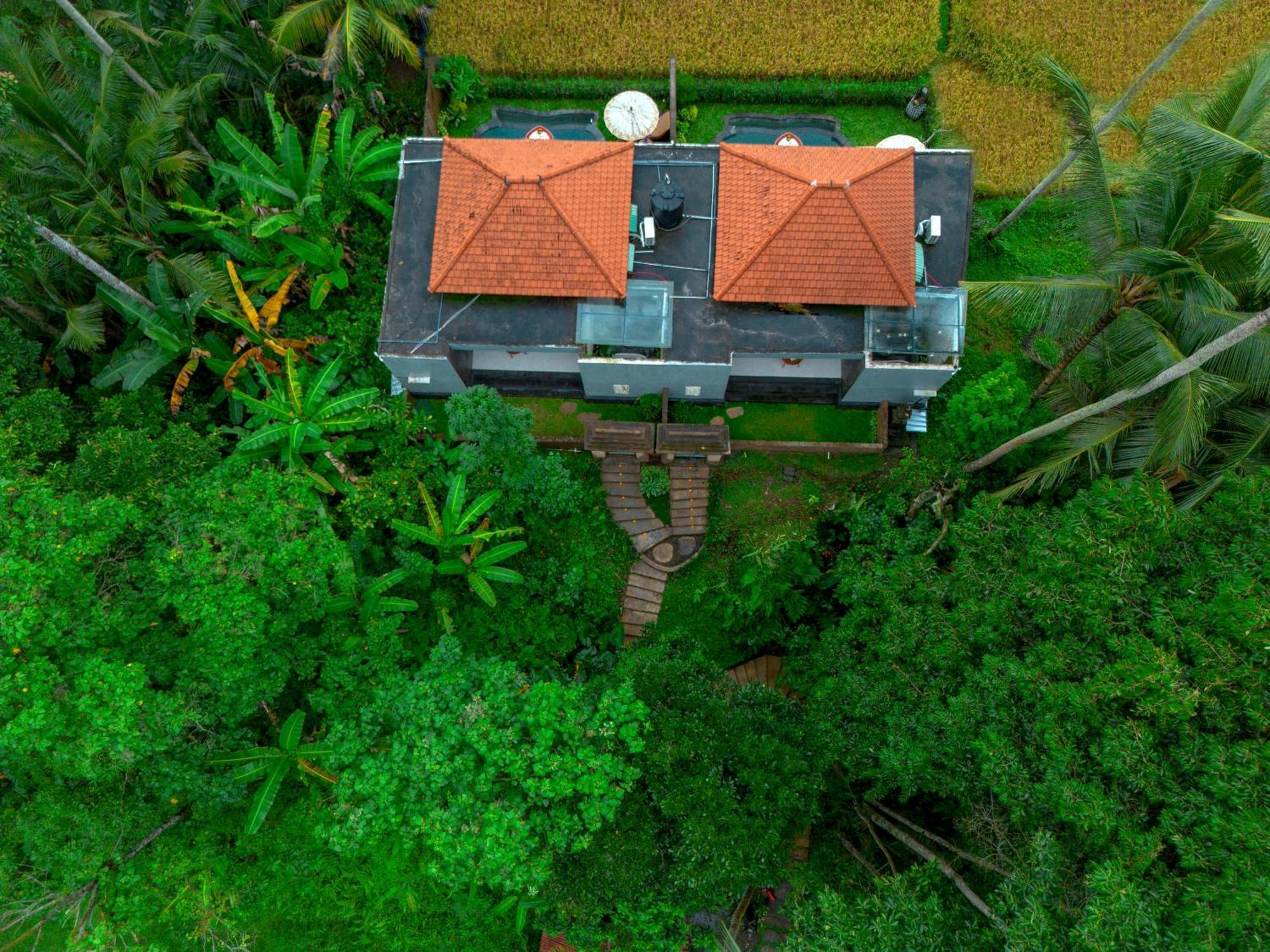The Alus Cottage And Villa Ubud Buitenkant foto